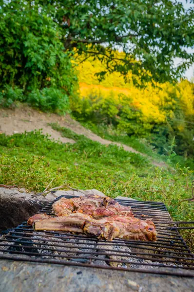 Barbacoa Bosque Atardecer Con Costillas Cerdo — Foto de Stock