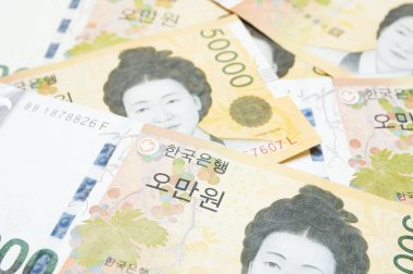 para birimi Güney Kore Wonu