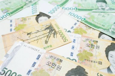 para birimi Güney Kore Wonu