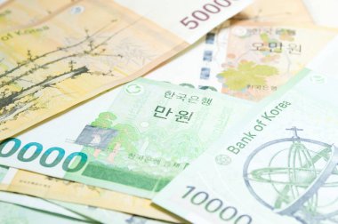 Güney Kore'nin Döviz Alım Lirası