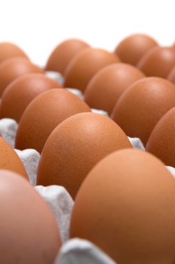 Beyaz arkaplanda yumurta izole