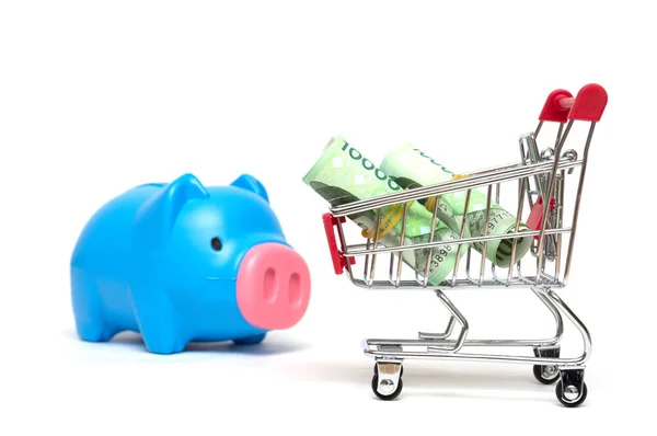 Piggy bank en Koreaanse geld en winkelwagentje op witte pagina — Stockfoto