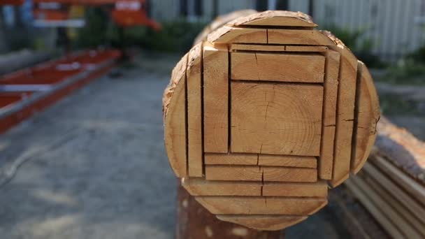 Couper les rondins en planches à l'aide d'une scierie moderne. Différentes tailles de planches découpées pont — Video