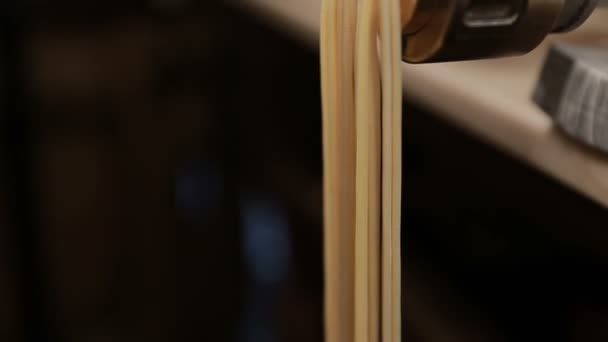 Het maken van noedels met Pastamachine van zelfgemaakte spelt deeg. — Stockvideo