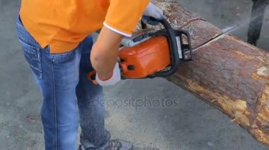 Testere ile kesme ahşap. Sesli HD video