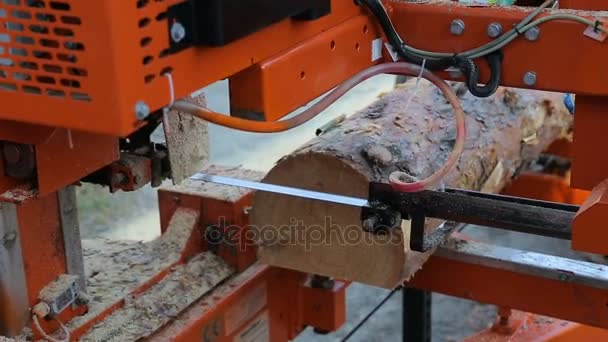 Fűrésztelep gép vágja le egy fából készült gerendák a gömbfa fa — Stock videók