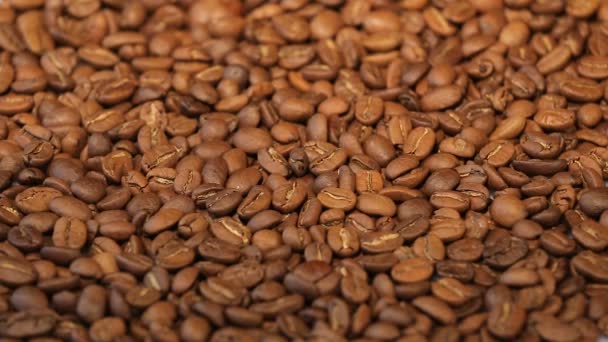 Slow rotation of the heap of coffee beans. Close up of coffee beans. Loopable rotation. In front of the camera rotates plate with coffee beans — Stock Video