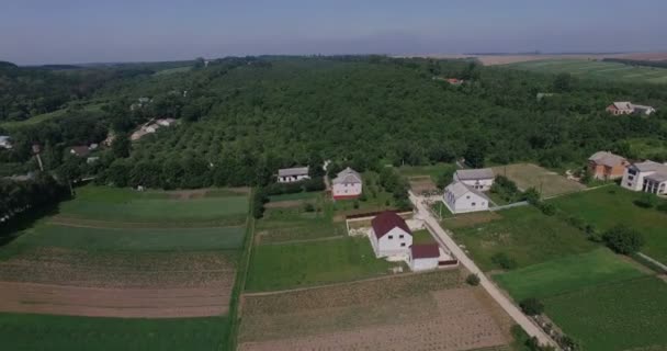 Вид с воздуха на маленькую деревню с маленькими домиками среди зеленых деревьев с сельскохозяйственными полями и отдаленным лесом летом — стоковое видео