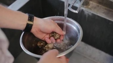 Metalik kasede canlı salyangoz. Bir adam mutfakta yemek pişirmek için salyangoz yıkar.