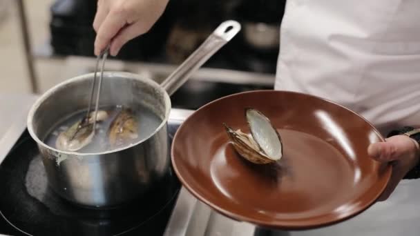 Процесс приготовления мидий, ингредиентов для традиционных макарон с морепродуктами. Варёные мидии на тарелке на современной кухне — стоковое видео