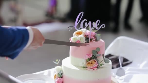 新婚旅行は結婚式のケーキをカットします。恋人同士で結婚式の甘いケーキをカットします。花嫁と新郎が結婚式のケーキを切っています。結婚式のケーキのスライスの花嫁と新郎の手. — ストック動画