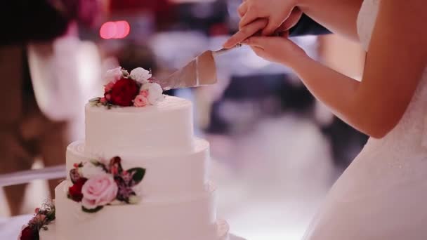 Os recém-casados cortam o bolo de casamento. O par no amor em conjunto corta um bolo doce de casamento. Close-up. Uma noiva e um noivo estão a cortar o bolo de casamento. Mãos de noiva e redução de noivo de uma parte de um bolo de casamento. — Vídeo de Stock