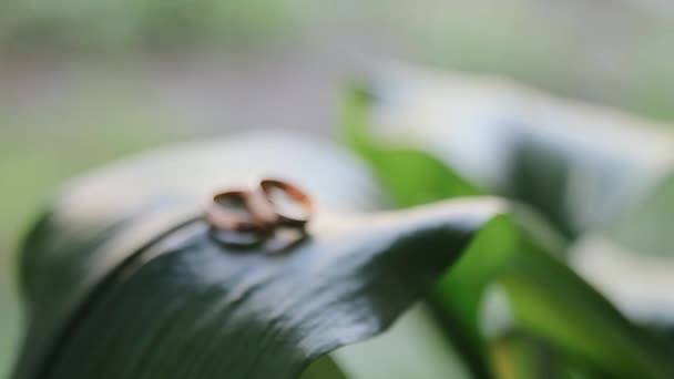 Bröllopsringar på ett grönt löv. Bröllop sommardetaljer och tillbehör närbild. Tid före bröllopsceremonin i naturen. Smycken av guld — Stockvideo