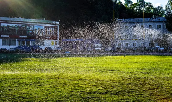 Yeşil güneşli tarlanın altında temiz su damlaları