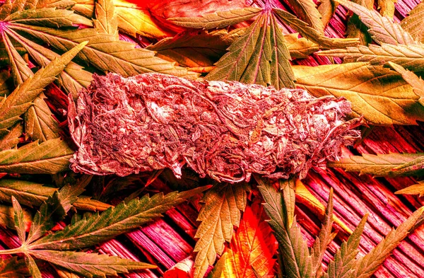 Kuru kare kenevir tomurcuğu doğal kenevir yapraklarının üzerinde yatıyordu