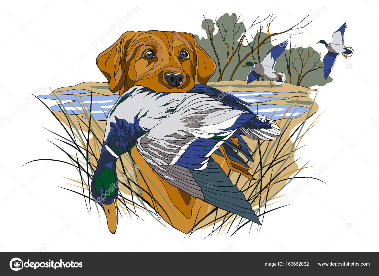 948 ilustraciones de stock de Pájaro muerto | Depositphotos 948 ilustraciones de stock de Pájaro muerto | Depositphotos