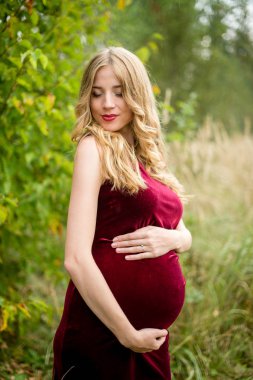 Portre bordo elbise eğlence parkında tadını uzun sarı saçlı güzel hamile kadın