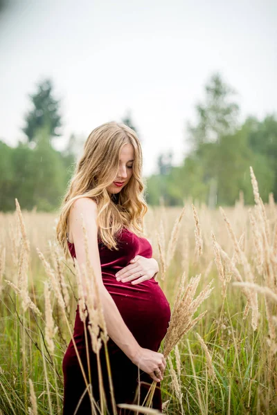 Retrato de uma mulher grávida feliz em um vestido de Borgonha com longos cabelos loiros na grama alta — Fotografia de Stock