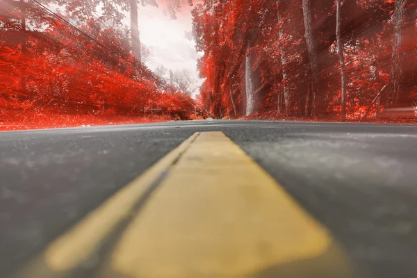 Road around with red leaf — Stock Photo, Image