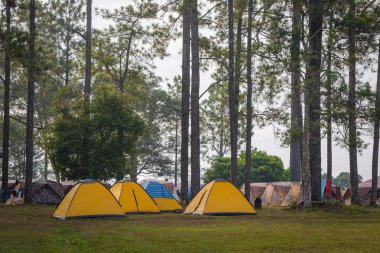 Manzara Tayland Phukradung Milli Parkı