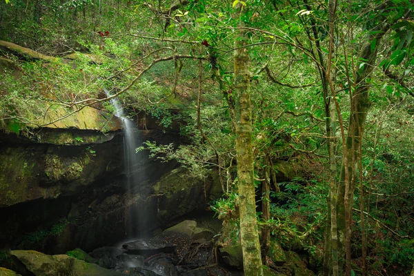 Paisaje del parque nacional de Phukradung de Tailandia — Foto de Stock