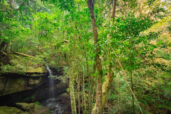 Paisaje del parque nacional de Phukradung de Tailandia — Foto de Stock