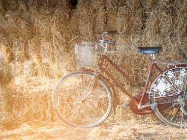 Alanda Vintage Bisiklet