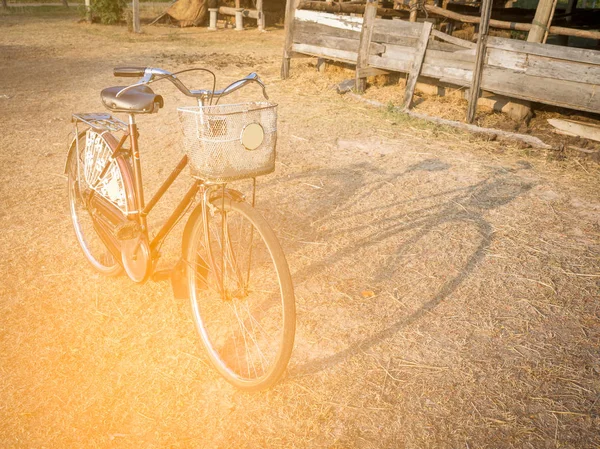 Rower Vintage w terenie — Zdjęcie stockowe