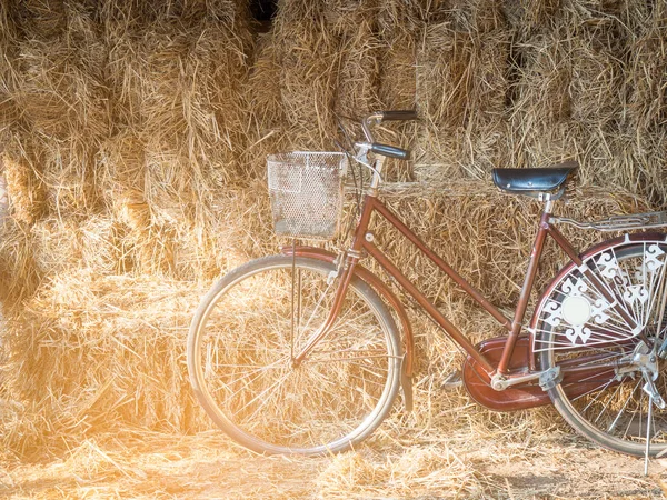Rower Vintage w terenie — Zdjęcie stockowe