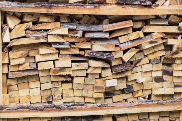 冬のための薪を収穫 — ストック写真