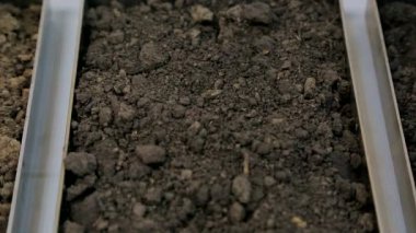 Toprak sonda. Toprak örnekleri Laboratuvarı