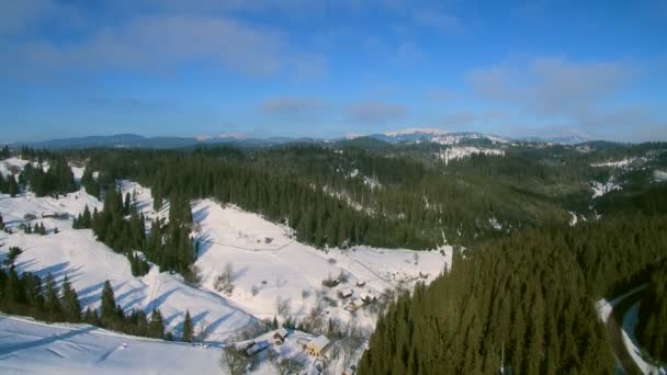 Hubschrauberaufnahme des Kaskadengebirges an sonnigen Wintertagen. grüner Baum an einem Wintertag — Stockvideo