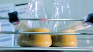 Toprak sonda. Toprak örnekleri karıştırma