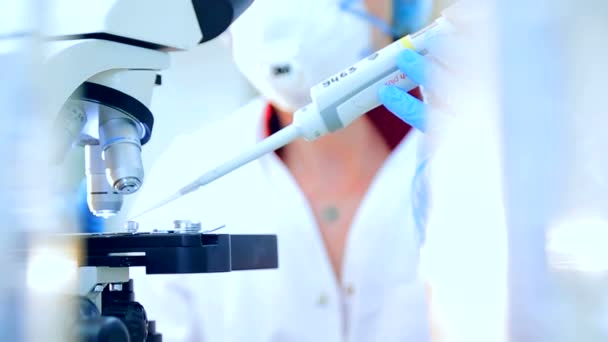 Биолог сбрасывает образцы для исследования микроскопа — стоковое видео