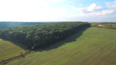 Orman ve yeşil buğday alanında üzerinde erken Bahar güneşli bir uçan. Silke Ekonomi