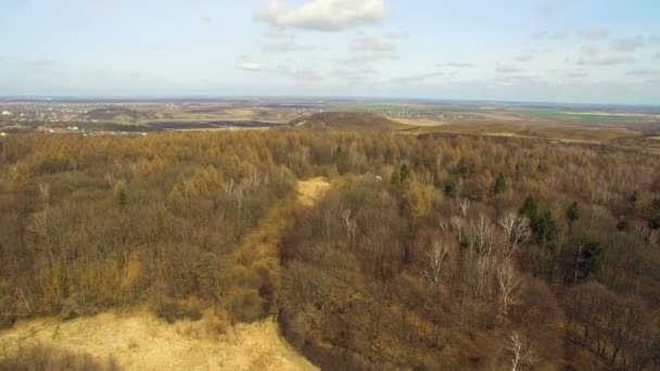 Bunker militare aereo nel bosco con un drone 4 — Video Stock