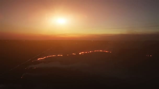 Campos de incêndio aéreo noite 4k. A queimar campos à noite. Fogo em grande escala, a vista de cima. A câmera voa através da fumaça grossa. Fumaça em uma grande área — Vídeo de Stock