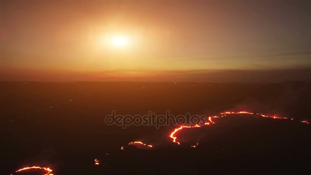 Campos de incêndio aéreo noite 4k. A queimar campos à noite. Fogo em grande escala, a vista de cima. A câmera voa através da fumaça grossa. Fumaça em uma grande área — Vídeo de Stock