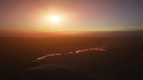 Campos de incêndio aéreo noite 4k. A queimar campos à noite. Fogo em grande escala, a vista de cima. A câmera voa através da fumaça grossa. Fumaça em uma grande área — Vídeo de Stock