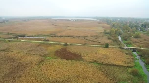 Flygande över moorlanden. Gula rottingen växer runt floder och sjöar — Stockvideo