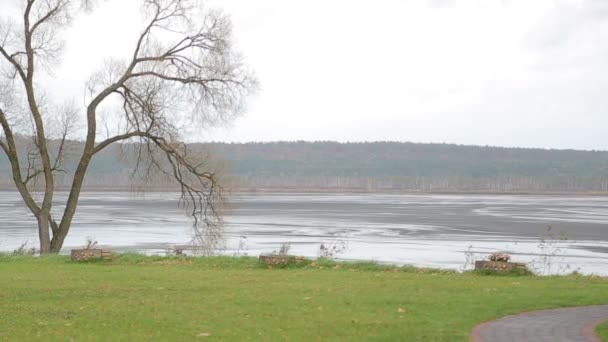 Een verlaagd het meer op een fantastische locatie in het bos — Stockvideo