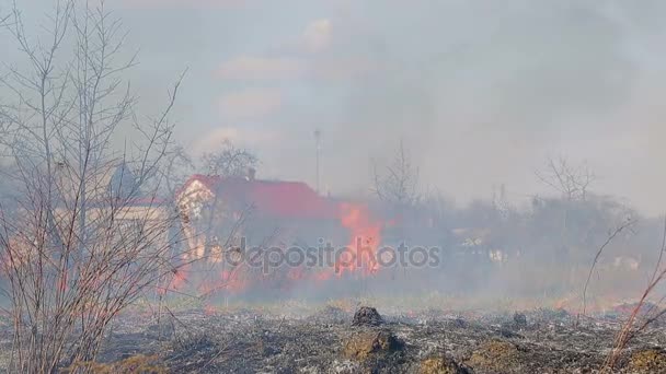 Brûle l'herbe sèche à côté des établissements ruraux. Le feu a pris une maison .