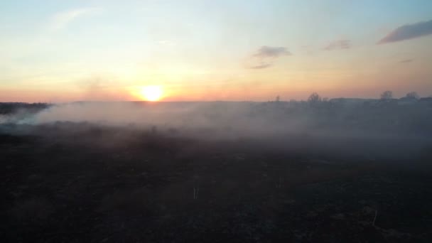 Des champs brûlants au coucher du soleil. Feu à grande échelle, la vue du haut. La caméra vole à travers l'épaisse fumée. Le smog dans une grande zone — Video