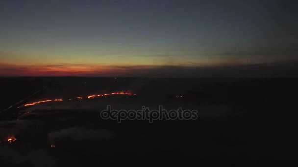 Aerial brand fält natt 4k. Brinnande fält på natten. Storskalig brand, utsikten från toppen. Kameran flyger genom den tjocka röken. Smog i ett stort område — Stockvideo