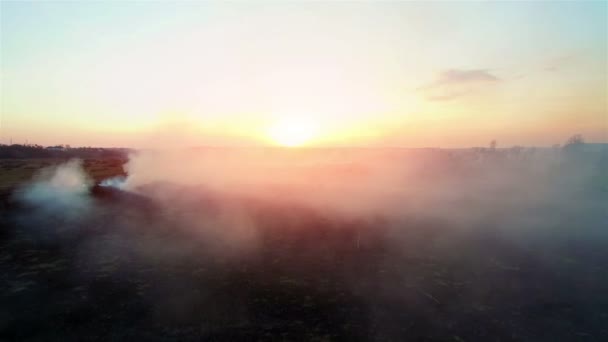 空中的 4k。在日落时消防领域。大规模的火，从顶部视图。照相机飞过浓浓的烟雾。在大面积的烟雾 — 图库视频影像