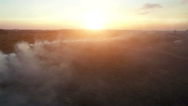 Aerial 4k. Fire fields at sunset. Large-scale fire, the view from the top. The camera flies through the thick smoke. Smog in a large area — Stock Video