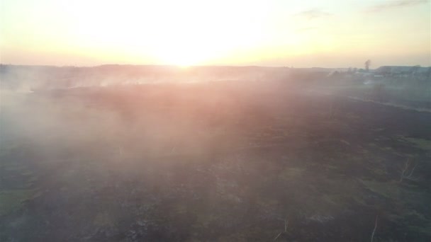 Aeronave 4K. Campos de fogo ao pôr-do-sol. Fogo em grande escala, a vista de cima. A câmera voa através da fumaça grossa. Fumaça em uma grande área — Vídeo de Stock