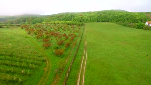 Aerisl 과일 나무의 멋진 정원 이상의 비행. 사과 배 적용 — 비디오