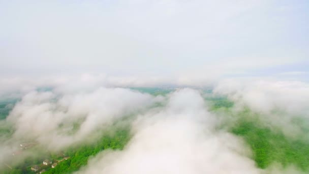 Fliegen über den mit Wolken und Nebel bedeckten Wald — Stockvideo