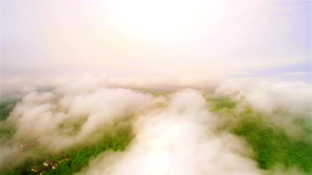 Fliegen über den mit Wolken und Nebel bedeckten Wald — Stockvideo